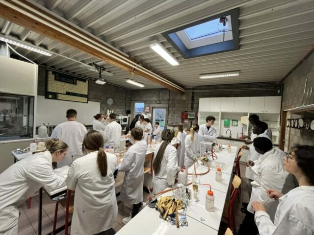 att.3V789qtG9cRtujlFlvbM1coJRssmbecVk9s6a5FQ9PE