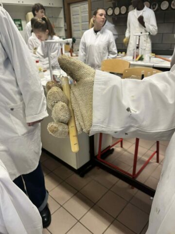 att.OXWs8dFpRkc39EZ-FUQlEBkHTwUtOXAAW8tqneZJsu0